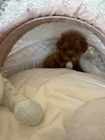 processed/71ccd5a5-e17a-4f7a-976c-16f24de66146/listing/d753cd05-b4f8-4a2f-a201-2b1ecf29e586/992e39e2-9685-42d4-92c6-0c38a768fc53