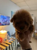 processed/71ccd5a5-e17a-4f7a-976c-16f24de66146/listing/d753cd05-b4f8-4a2f-a201-2b1ecf29e586/a6710a5a-9da2-4052-b1e4-70233fe99214