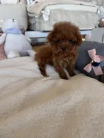 processed/71ccd5a5-e17a-4f7a-976c-16f24de66146/listing/d753cd05-b4f8-4a2f-a201-2b1ecf29e586/df760ba6-6271-4558-923e-d81697eaf249