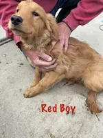 processed/71cdb964-f50c-4106-a084-17bbbad13206/listing/f05c28a3-88a9-4584-9c74-0b102846709c/a0aa9719-40f0-4d3f-a68e-d7c70ec87b0f