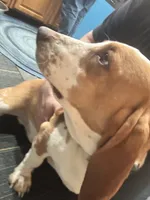 processed/71cf903a-a29d-4860-a654-0e350b5d8693/listing/34f0fba3-116b-432c-94e2-12970fe1d0f0/03290d57-2a64-430f-916a-6528e10d6fa0