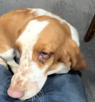 processed/71cf903a-a29d-4860-a654-0e350b5d8693/listing/34f0fba3-116b-432c-94e2-12970fe1d0f0/34a5b8c7-733e-479c-bf88-47be17390363