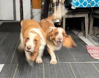 processed/71cf903a-a29d-4860-a654-0e350b5d8693/listing/34f0fba3-116b-432c-94e2-12970fe1d0f0/7e7418f4-6101-44a4-b8d0-6a90be30b77a