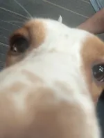 processed/71cf903a-a29d-4860-a654-0e350b5d8693/listing/34f0fba3-116b-432c-94e2-12970fe1d0f0/8d18f837-c66d-4251-9829-fa11e699ae1e