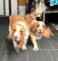 processed/71cf903a-a29d-4860-a654-0e350b5d8693/listing/34f0fba3-116b-432c-94e2-12970fe1d0f0/cc46642e-593e-4d9d-8ebc-af9f56100a96