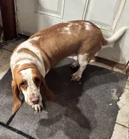 processed/71cf903a-a29d-4860-a654-0e350b5d8693/listing/34f0fba3-116b-432c-94e2-12970fe1d0f0/d82a2966-7dbe-4f5c-887b-badb1d483ddf