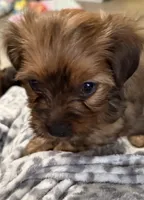 processed/71d3bcc9-30c5-4be2-afe0-aa0e3195ef96/listing/ddb3d926-d4dd-48fd-9278-47cf2fb7e2fe/1b8fa084-0528-4250-b4c2-26bc7747ad30