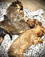 processed/71d3bcc9-30c5-4be2-afe0-aa0e3195ef96/listing/ddb3d926-d4dd-48fd-9278-47cf2fb7e2fe/674e7e95-4ec3-4565-b3bd-87a38c6001e4