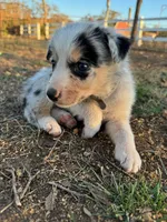 processed/71d3e0ae-97f6-4478-9556-a64b696c76a4/listing/2c33eb96-4643-4287-a761-b9ab77c613fd/49dedad3-1cae-497a-a094-f04ced2be188