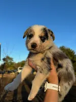 processed/71d3e0ae-97f6-4478-9556-a64b696c76a4/listing/2c33eb96-4643-4287-a761-b9ab77c613fd/74d0d3d1-fd87-4cca-8cdf-bcbfde99ce44