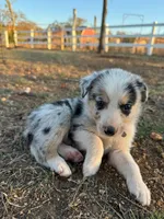 processed/71d3e0ae-97f6-4478-9556-a64b696c76a4/listing/2c33eb96-4643-4287-a761-b9ab77c613fd/9225deba-0687-420f-a10a-81e2181d2a0f