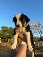 processed/71d3e0ae-97f6-4478-9556-a64b696c76a4/listing/42e78e41-28e8-45f8-83fb-50ecf2cdec77/e3b315bd-e8e8-46d2-b6b4-38104a14dd8e