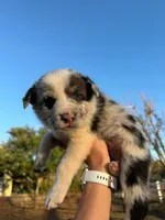 processed/71d3e0ae-97f6-4478-9556-a64b696c76a4/listing/820f7996-2df2-4363-b95b-cc0f2886737b/99a3c067-2930-4667-83d7-7b5bae486438