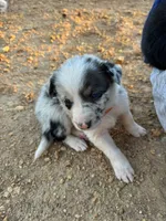 processed/71d3e0ae-97f6-4478-9556-a64b696c76a4/listing/820f7996-2df2-4363-b95b-cc0f2886737b/b9705135-b585-4379-8f3a-6263598eb297