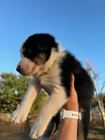 processed/71d3e0ae-97f6-4478-9556-a64b696c76a4/listing/bc5d514b-73d8-481d-8d0d-6bd4e3e4d9b5/acce26bc-9a05-4e01-b473-5a6c818919d4