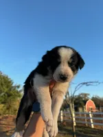 processed/71d3e0ae-97f6-4478-9556-a64b696c76a4/listing/bc5d514b-73d8-481d-8d0d-6bd4e3e4d9b5/fd83185f-f9c6-43f2-9907-e3e61a38eb36