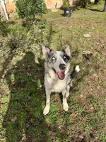 processed/71d3e0ae-97f6-4478-9556-a64b696c76a4/listing/c9da8f06-d374-4e7e-a68d-9bd2ed86d994/09ee8077-fee4-451e-8a72-8d2b10b83247