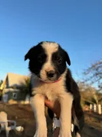 processed/71d3e0ae-97f6-4478-9556-a64b696c76a4/listing/c9da8f06-d374-4e7e-a68d-9bd2ed86d994/3e5ba351-6b47-4903-aca0-e5b33c055ef2