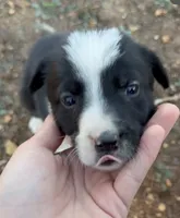 processed/71d3e0ae-97f6-4478-9556-a64b696c76a4/listing/c9da8f06-d374-4e7e-a68d-9bd2ed86d994/a7aa767c-f76a-4e22-8892-624f221ab174