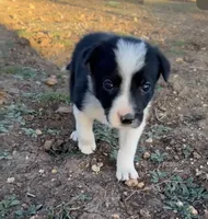 processed/71d3e0ae-97f6-4478-9556-a64b696c76a4/listing/c9da8f06-d374-4e7e-a68d-9bd2ed86d994/c022aed1-ae89-400a-a927-1392d6781ac6