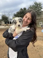 processed/71d3e0ae-97f6-4478-9556-a64b696c76a4/listing/d25dca7b-7ad4-4c74-93c1-f9b3e45db7cf/77e00e40-f999-4bd1-906f-58dac9260ec1