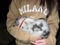 processed/71d3e0ae-97f6-4478-9556-a64b696c76a4/listing/d25dca7b-7ad4-4c74-93c1-f9b3e45db7cf/d5ab3d71-bf7a-4def-aa5c-4496e1675b6c