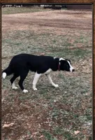 processed/71d3e0ae-97f6-4478-9556-a64b696c76a4/listing/ea53efe9-526a-44d1-a882-b8084bd9e466/68691f8f-d126-4643-ac0e-152fad7de619