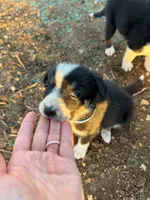 processed/71d3e0ae-97f6-4478-9556-a64b696c76a4/listing/ea53efe9-526a-44d1-a882-b8084bd9e466/f0577ee2-7eb0-4ebb-9351-610a366e8920