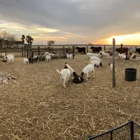 processed/71db262a-c543-45fa-bcfc-563c804dee44/facility/0f6108fc-4c49-4b22-a259-9bf9c0f056e4