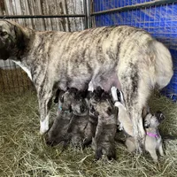 processed/71db262a-c543-45fa-bcfc-563c804dee44/facility/35fabf78-629c-48f3-bd7a-2bf2f9e544d4