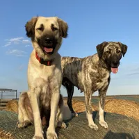 processed/71db262a-c543-45fa-bcfc-563c804dee44/facility/8b0f0fa9-5aeb-4278-b58c-558bbad0aa64