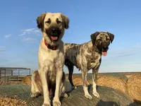 processed/71db262a-c543-45fa-bcfc-563c804dee44/facility/8b0f0fa9-5aeb-4278-b58c-558bbad0aa64