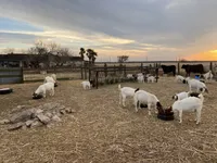 processed/71db262a-c543-45fa-bcfc-563c804dee44/facility/a10b5441-143e-46bf-ab59-803d799f5b36