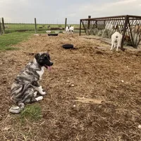 processed/71db262a-c543-45fa-bcfc-563c804dee44/facility/a2a8c32c-b930-47ae-a61b-7f88f86891eb