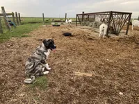 processed/71db262a-c543-45fa-bcfc-563c804dee44/facility/a2a8c32c-b930-47ae-a61b-7f88f86891eb