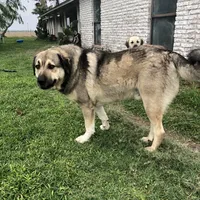 processed/71db262a-c543-45fa-bcfc-563c804dee44/facility/a3a3ac49-9755-4c5d-a29b-1999a3490012