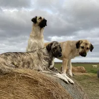 processed/71db262a-c543-45fa-bcfc-563c804dee44/facility/d04b8144-6c26-4293-99ae-a4b57d4b6700