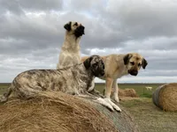 processed/71db262a-c543-45fa-bcfc-563c804dee44/facility/d04b8144-6c26-4293-99ae-a4b57d4b6700