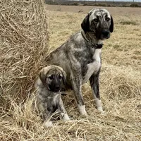 processed/71db262a-c543-45fa-bcfc-563c804dee44/facility/dcc0053d-0aeb-4df0-b29f-3c26170f936b