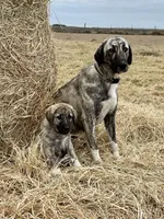 processed/71db262a-c543-45fa-bcfc-563c804dee44/facility/dcc0053d-0aeb-4df0-b29f-3c26170f936b