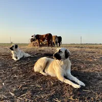 processed/71db262a-c543-45fa-bcfc-563c804dee44/facility/f56a4f98-9511-4824-8e33-56a8bb9c44ae