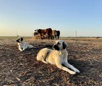 processed/71db262a-c543-45fa-bcfc-563c804dee44/facility/f56a4f98-9511-4824-8e33-56a8bb9c44ae