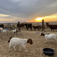 processed/71db262a-c543-45fa-bcfc-563c804dee44/facility/faacf81d-1b20-4467-bfaf-d213a86cb6ac