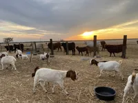 processed/71db262a-c543-45fa-bcfc-563c804dee44/facility/faacf81d-1b20-4467-bfaf-d213a86cb6ac