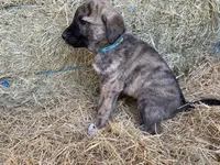 processed/71db262a-c543-45fa-bcfc-563c804dee44/listing/31712e9a-a513-42b3-ae9b-add9fc7f3e7c/2895da6c-3d74-45ee-a3ad-e5dca6e26c59