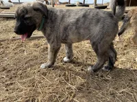 processed/71db262a-c543-45fa-bcfc-563c804dee44/listing/31712e9a-a513-42b3-ae9b-add9fc7f3e7c/3b4e697c-cbde-4783-a2fa-377fff42aa15