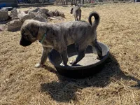 processed/71db262a-c543-45fa-bcfc-563c804dee44/listing/31712e9a-a513-42b3-ae9b-add9fc7f3e7c/4555ef25-06e5-4aaf-9b44-da061bde0e2e