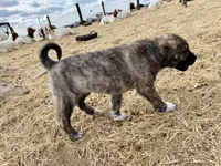 processed/71db262a-c543-45fa-bcfc-563c804dee44/listing/31712e9a-a513-42b3-ae9b-add9fc7f3e7c/56442b97-c8d1-420f-859f-d6ff1bc7e607