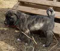 processed/71db262a-c543-45fa-bcfc-563c804dee44/listing/31712e9a-a513-42b3-ae9b-add9fc7f3e7c/8e00f65f-c26f-4cd3-8ec0-7fa822592bb3