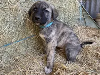 processed/71db262a-c543-45fa-bcfc-563c804dee44/listing/31712e9a-a513-42b3-ae9b-add9fc7f3e7c/a351f3a8-3976-4662-8e12-bf79beb5d7f8